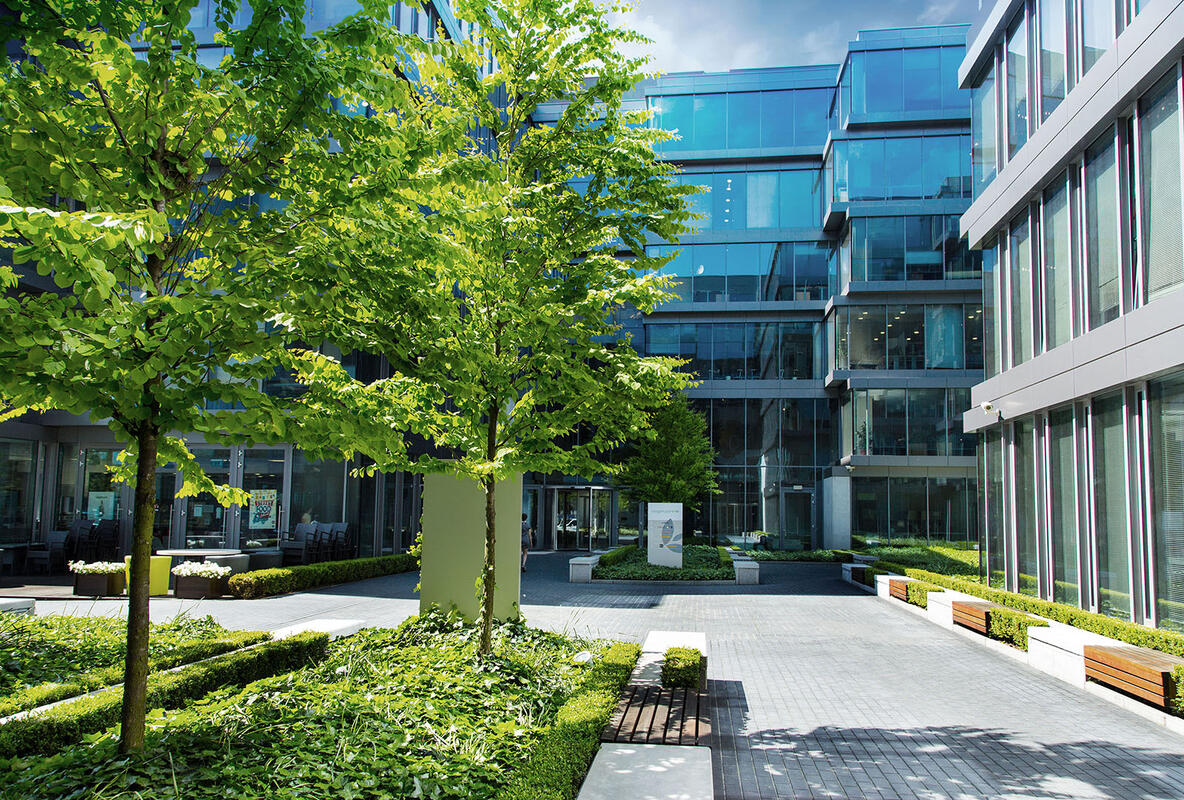 Golden Star Estate wynajmuje 40 000 mkw. biur w trzy kwartały – rekordowe wyniki w Polsce