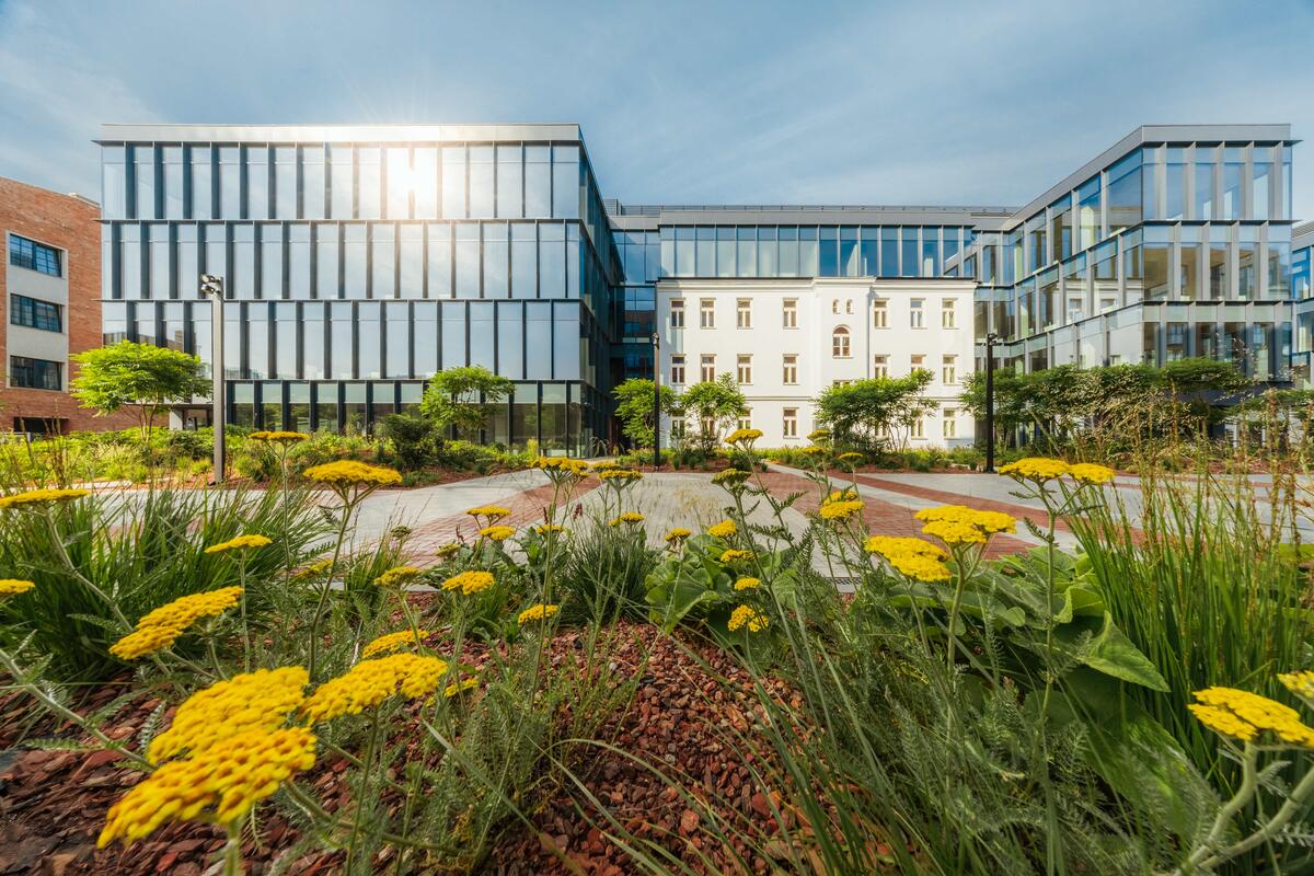 AFI z rekordowym 2025 rokiem w Polsce. Biura, PRS i mixed-use napędzają dalszą ekspansję