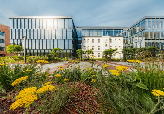 AFI z rekordowym 2025 rokiem w Polsce. Biura, PRS i mixed-use napędzają dalszą ekspansję